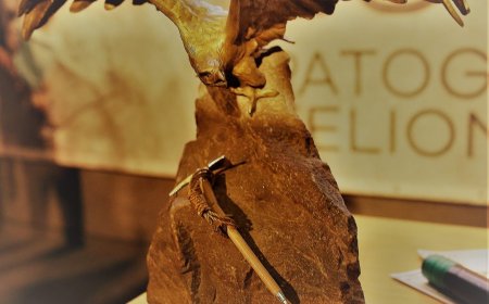 2024 m Lietuvos alpinizmo čempionatas