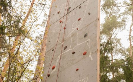 KTU ŽK „Ąžuolas“ KKT varžybų rezultatai