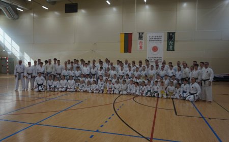 Tęsiame tradicijas. D. Lautier (7 dan) seminaras Šiauliuose