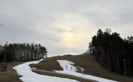 2025 m. Lietuvos slidinėjimo čempionatas