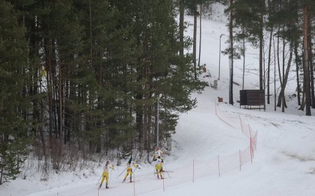 2025 m. Lietuvos jaunių, jaunučių ir vaikų slidinėjimo čempionatas