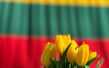 Sveikiname su Kovo 11-ąja!