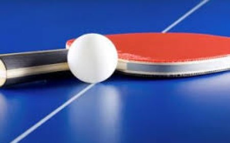 Helmuto Lisino GIMTADIENIO Turnyras