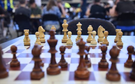 LŠF pareiškimas dėl FIDE Etikos komisijos sprendimo