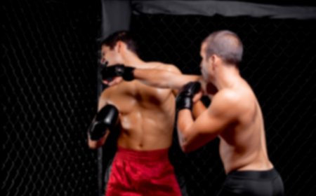 Sample Post With Carousel