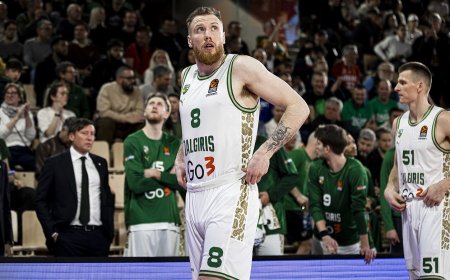 Pralaimėjimo priežastis vardinęs Brazdeikis: turėjome būti solidesni