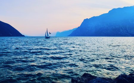 - Vidos Tamkvaitienės padėka buriuomenei už palaikymą