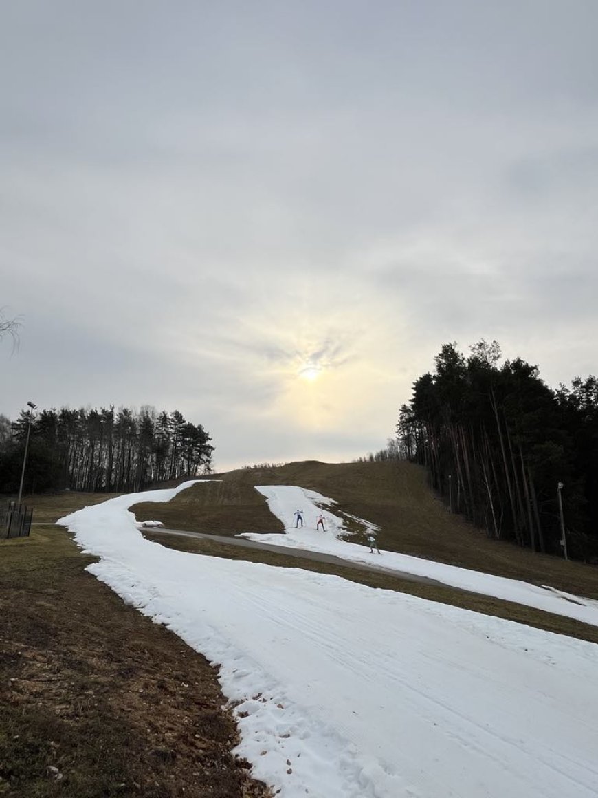 2025 m. Lietuvos slidinėjimo čempionatas
