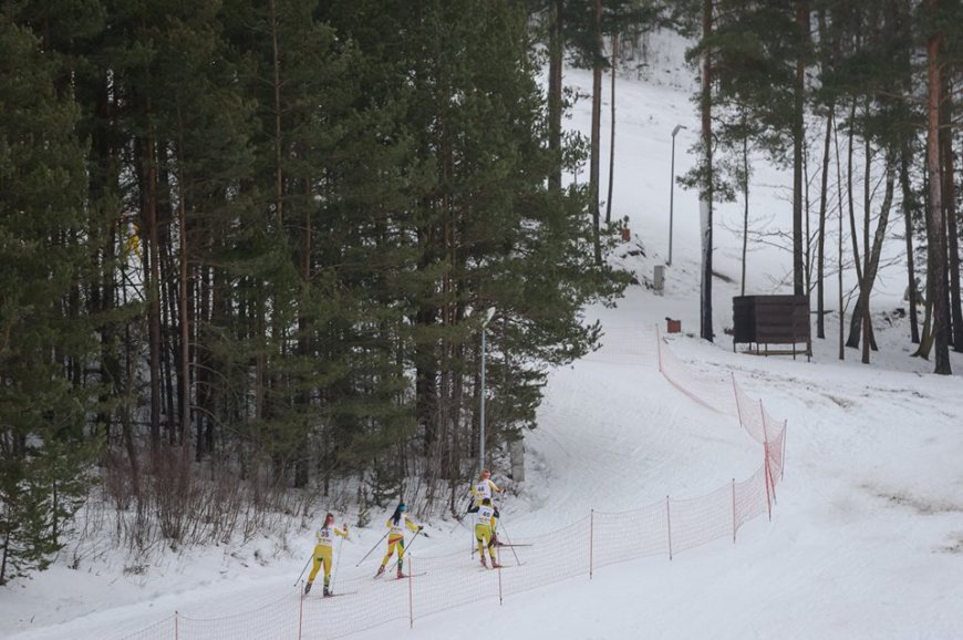 2025 m. Lietuvos jaunių, jaunučių ir vaikų slidinėjimo čempionatas