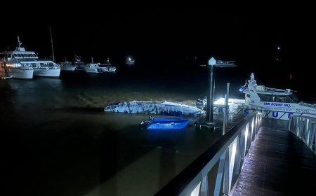 Aurimo Mockaus valtis atgabenta į krantą