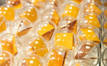 Ištraukti 2025-ųjų FPRO LFF taurės pirmo etapo burtai