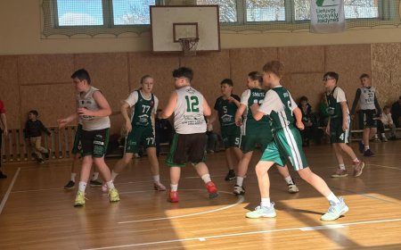 Mantinga vaikų lygos (2013-2014 m.g.)   čempionato krepšinio varžybos