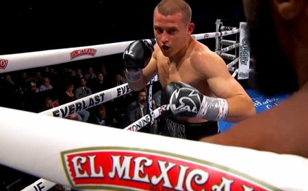 Žymus bokso treneris apie Stanionio trenerių sprendimą: „Ennisas yra sadistas, jis muš tave tol, kol liksi leisgyvis“