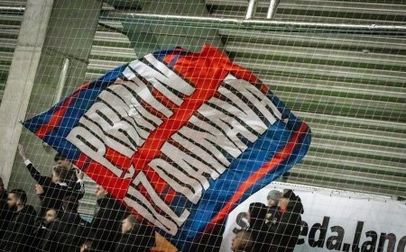 Po A lygos rungtynių užpulti „Dainavos“ sirgaliai