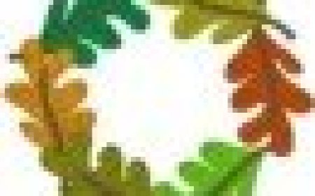 Pakeista sezono atidarymo varžybų data