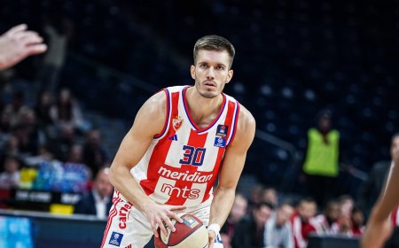 „Crvena Zvezda“ derasi su F.Petruševu ir vilioja M.Guduričių