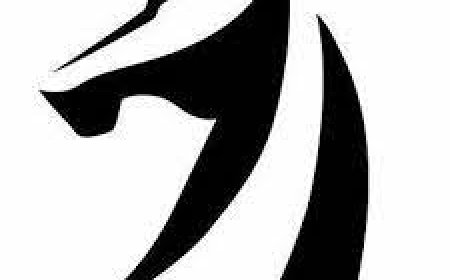 Kviečiame prisidėti prie LŠF 2026-2030 strateginio plano rengimo!