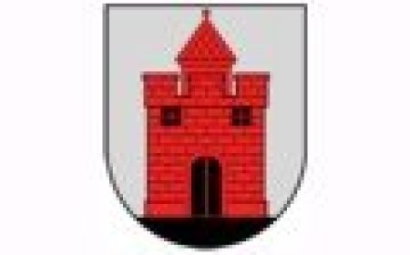 Panevėžio vaikų čempionatas