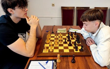 Šachmatų čempiono titulą susigrąžino Stremavičius