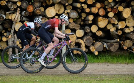 Vilniuje vykstančiame Europos čempionato sprinte – lietuvių bronzos medaliai
