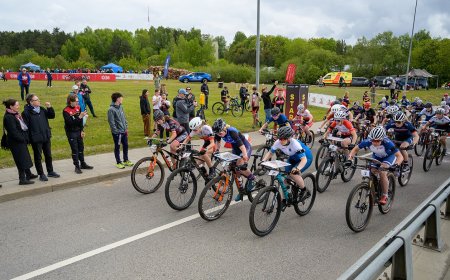 Pergalingas Europos čempionato finišas Vilniuje – Lietuvos komanda iškovojo sidabrą