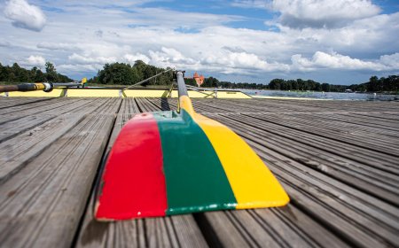 LIF pasiruošimas pasaulio jaunių čempionato organizavimui: chronologinė veiksmų seka ir detalės