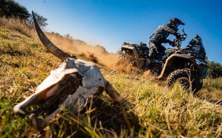 Maratoninis greičio ruožas įveiktas – sportininkai kėlėsi liūtų apsuptyje