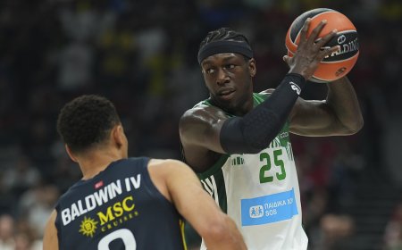 Rungtynes anksčiau laiko pabaigęs Nunnas piktinosi teisėjais: su jais visada taip būna