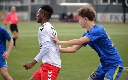 LFF II lyga: lygiųjų turas