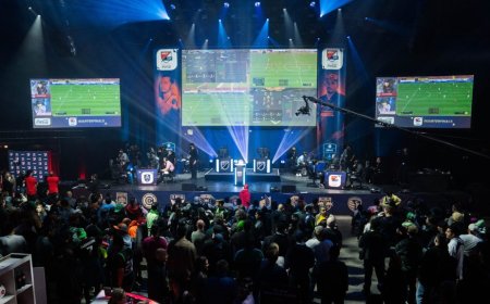 LFF ir VU mokslininkai kurs futbolo esporto vystymo modelį, skirtą Baltijos regionui