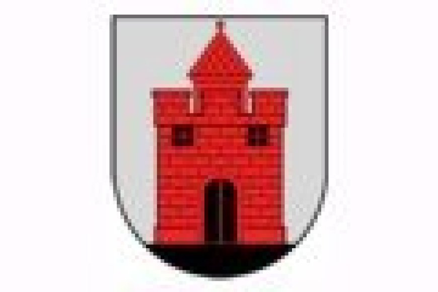 Panevėžio vaikų čempionatas