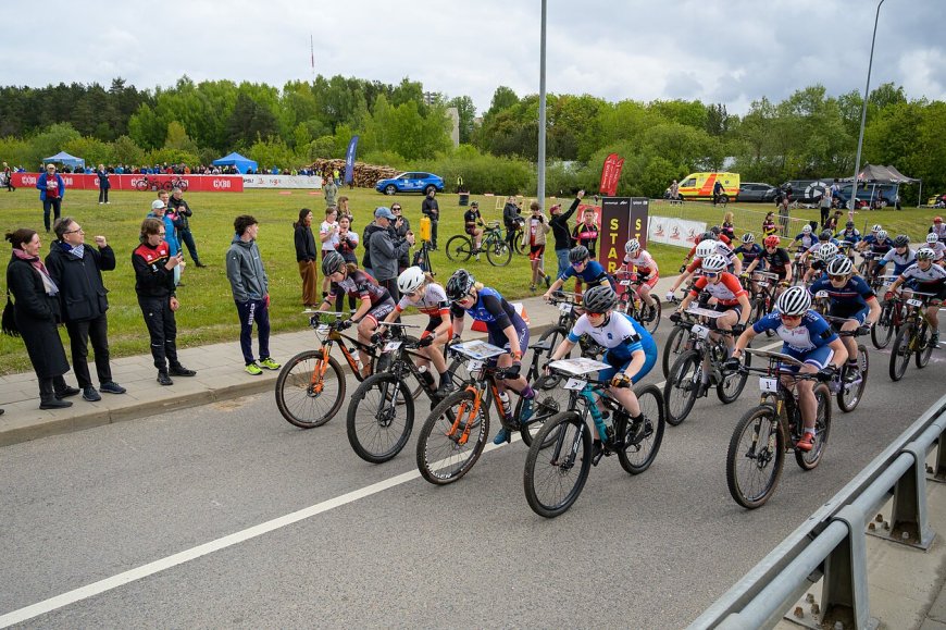Pergalingas Europos čempionato finišas Vilniuje – Lietuvos komanda iškovojo sidabrą