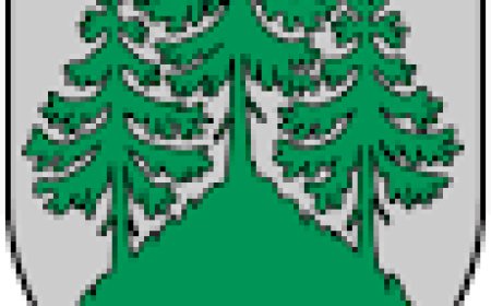 Modrio Liepinio taurės varžybos