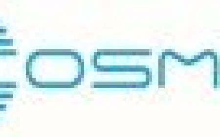 COSMA taurės estafečių varžybos