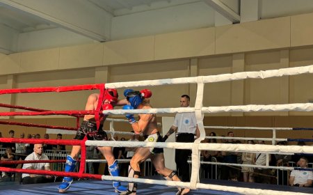Ukmergėje įvyko visų amžiaus grupių atviras WAKO Lietuvos kikbokso čempionatas