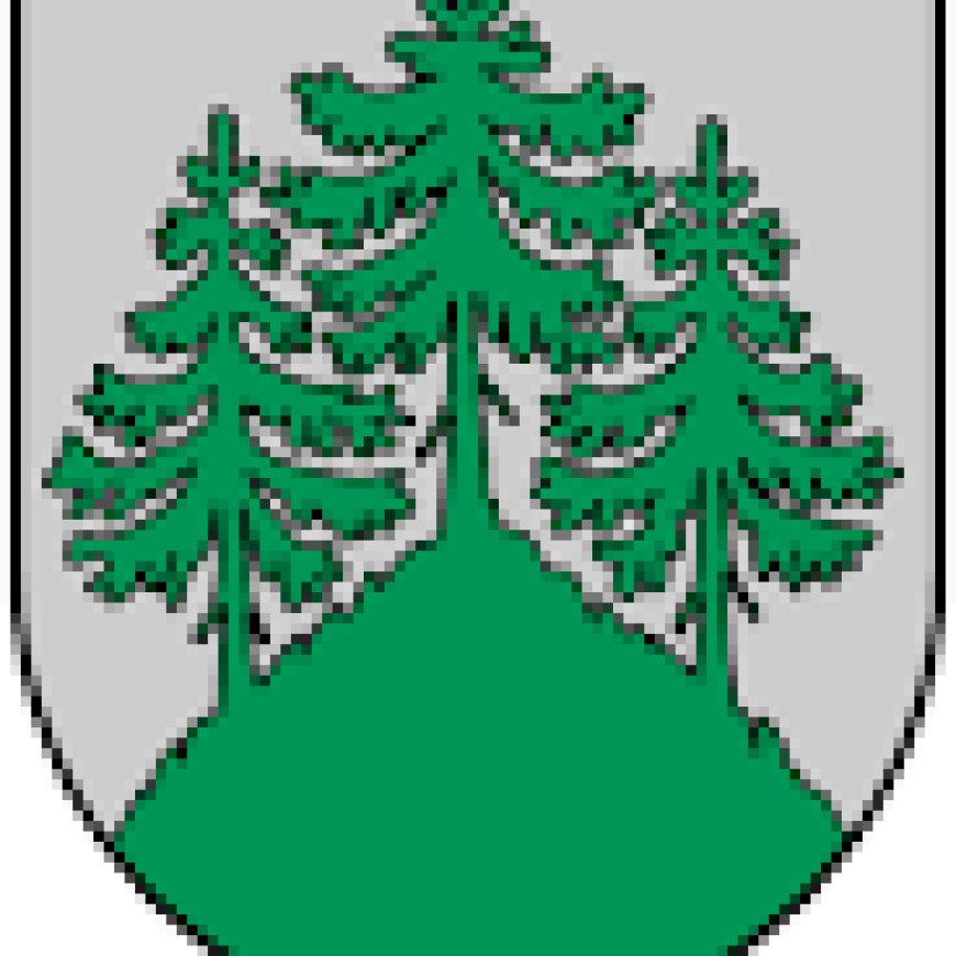 Modrio Liepinio taurės varžybos