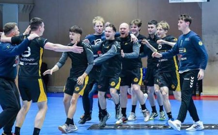 Lietuvos 1-mos lygos vyrų rankinio čempionatas